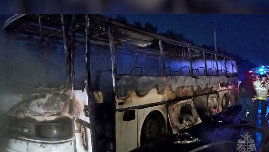 В российском регионе сгорел автобус на трассе, пострадали два человека