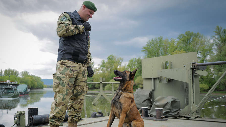 Венгерские военные спасли собаку от живодера и научили ее искать взрывчатку для НАТО