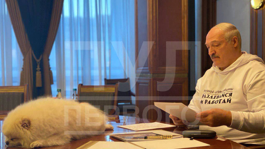 Появилось фото Лукашенко в толстовке с надписью "раздевайся и работай"
