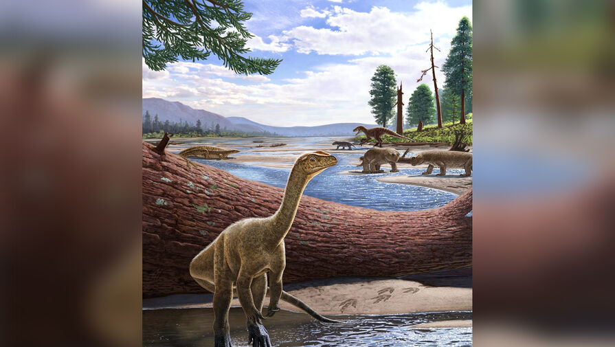 Оказалось, что динозавры нарушили одно из основных правил эволюции