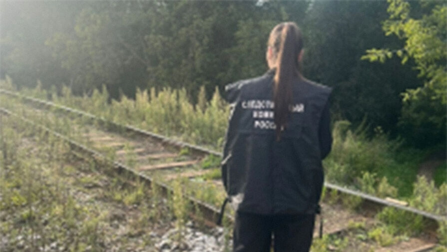 В Ярославской области девятилетний мальчик попал под тепловоз и выжил