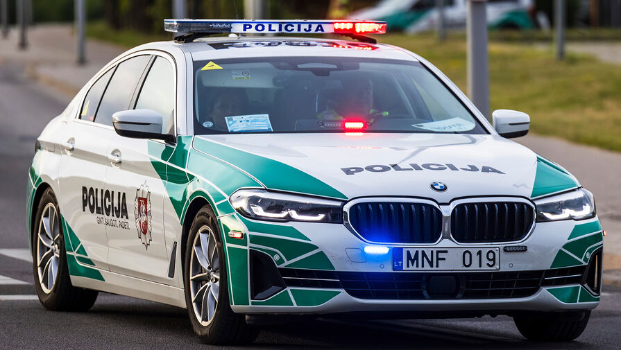 В Литве водитель Citroen влетел в кортеж испанской делегации, пострадала посол