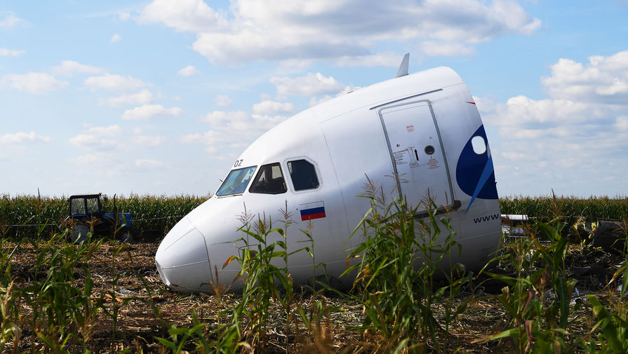 Носовая часть самолета Airbus A321 на&nbsp;месте аварийной посадки в&nbsp;кукурузном поле в&nbsp;районе деревни Рыбаки Раменского района