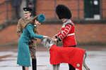 Принцесса Уэльская Кэтрин (Кейт Миддлтон) и ирландский волкодав Шеймус (полковой талисман Ирландской гвардии) во время парада в честь Дня Святого Патрика в казармах Монса, 17 марта 2023 года