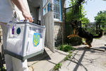 Член избирательной комиссии несет мобильную урну в селе Забуянье, Киевская область