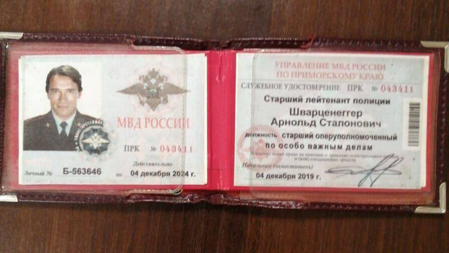 Во Владивостоке в дежурную часть ГУВД с проверкой пришел Арнольд Шварценеггер