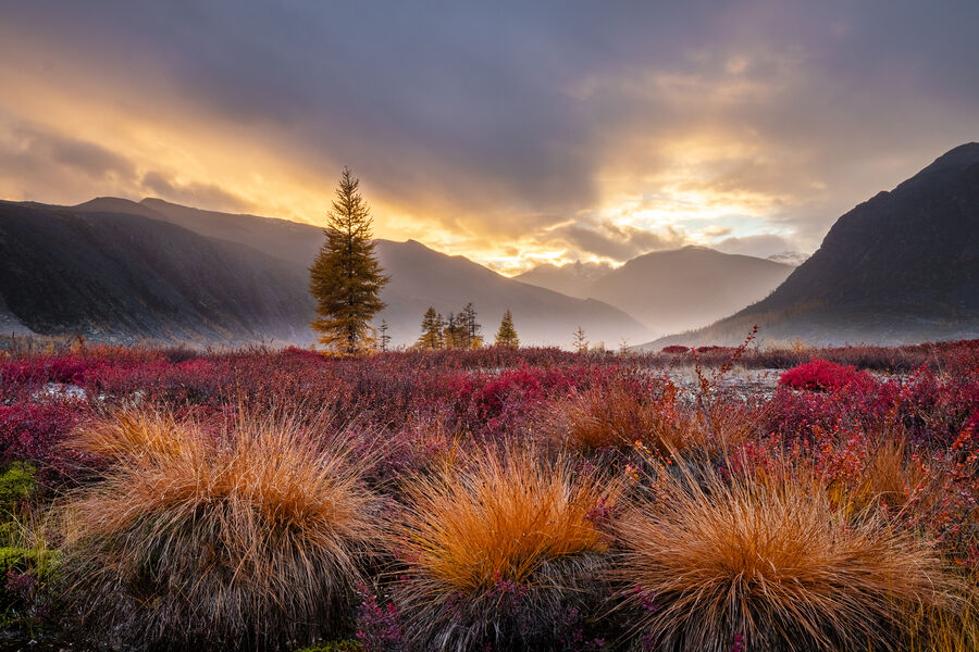 <b>Надежда Окорокова </b>
<br><br>
Теплый вечер на&nbsp;Джеке