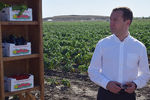 Премьер-министр РФ Дмитрий Медведев во время ознакомления с ходом уборки урожая овощных культур в Камызякинском районе