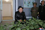 Лидер Северной Кореи Ким Чен Ын на церемонии открытия тепличной фермы в Ренпхо, 11 октября 2022 года