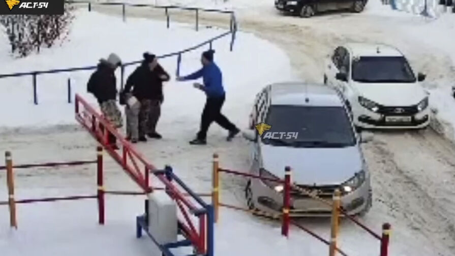 Видео: в Новосибирске водитель напал на женщину с младенцем