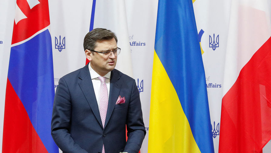 Кулеба попросил ОБСЕ подготовить доклад из-за предоставления жителям Донбасса паспортов РФ