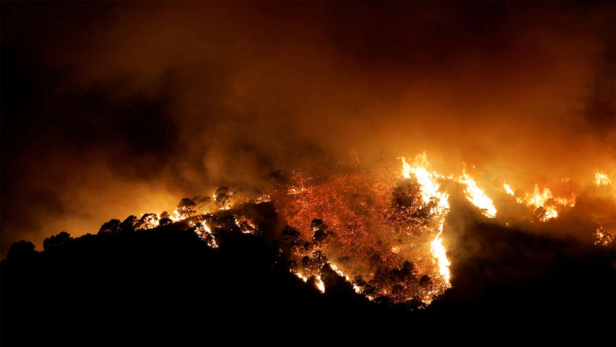 Европа борется с лесными пожарами в сильную жару