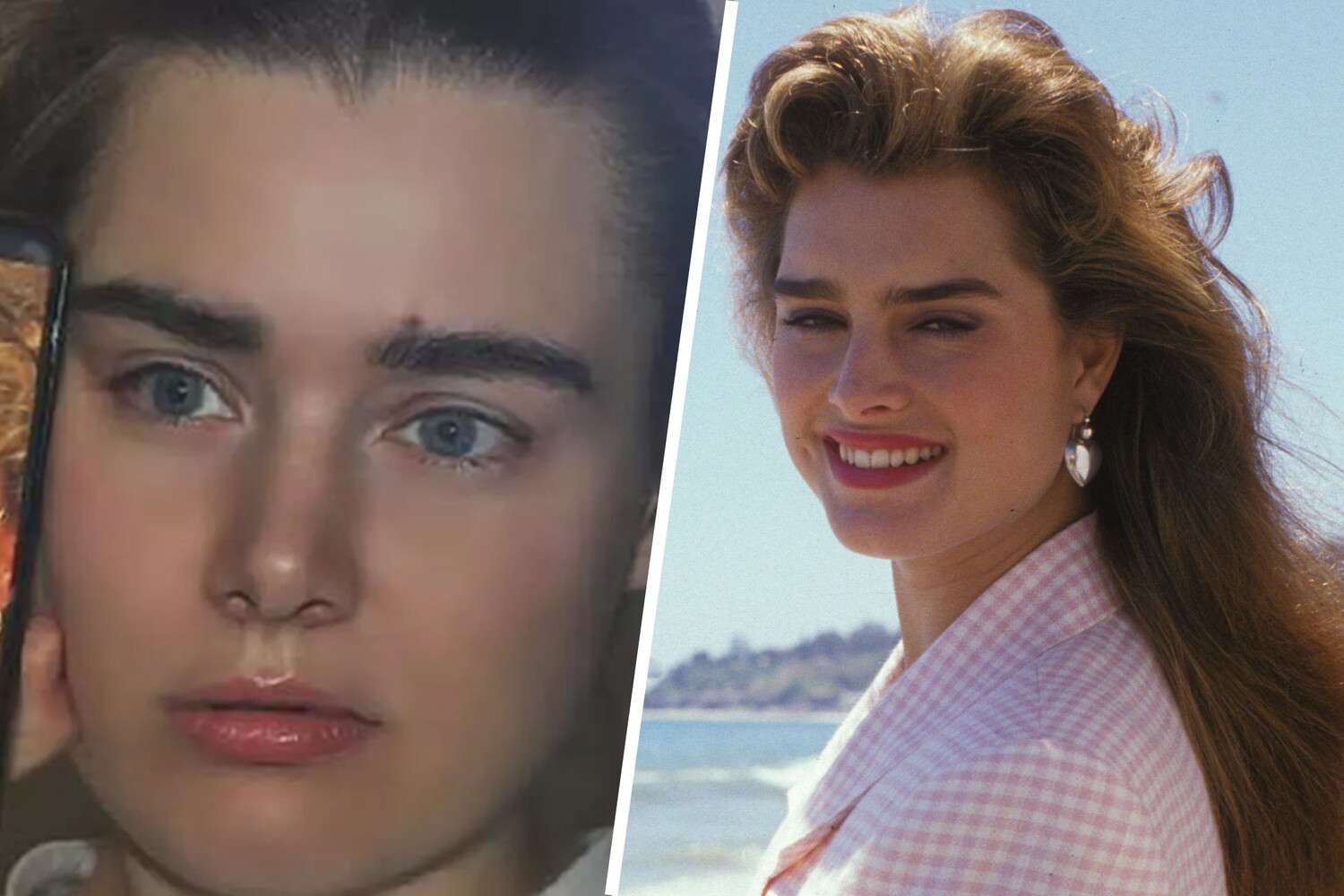 Брук шилдс голая