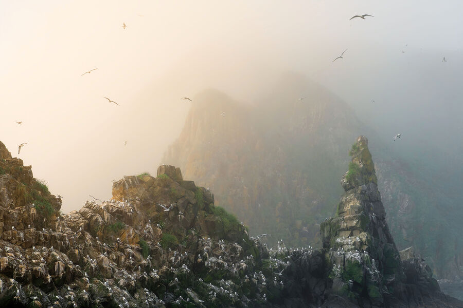 <b>Павел Ившин </b>
<br><br>
Где раскрашена земля