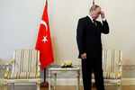 Владимир Путин перед встречей с Реджепом Эрдоганом в Санкт-Петербурге 
