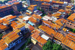 Сушка хурмы на крышах домов в уезде Маньси городского округа Цюаньчжоу провинции Фуцзянь, Китай