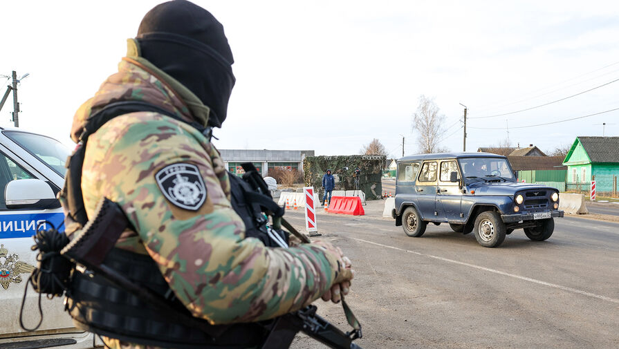 ТАСС: в атаке на два села Брянской области участвовали две украинские диверсионные группы