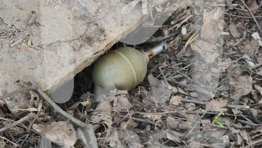 Mash: гранату РГД-5 нашли под линией электропередачи в лесополосе на востоке Москвы
