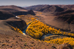 <b>«Краски осеннего Алтая»</b>
<br>Урочище Кокоря. Республика Алтай