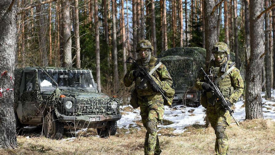 Эстония в 2026 году потратит на оборону рекордную в своей истории сумму