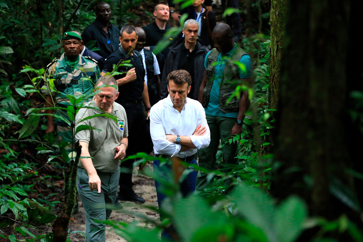 Президент Франции Эммануэль Макрон и министр лесного хозяйства и окружающей среды Габона Ли Уайт посещают дендрарий Рапонда Уокер в Либревиле (Габон), 2 марта 2023 года