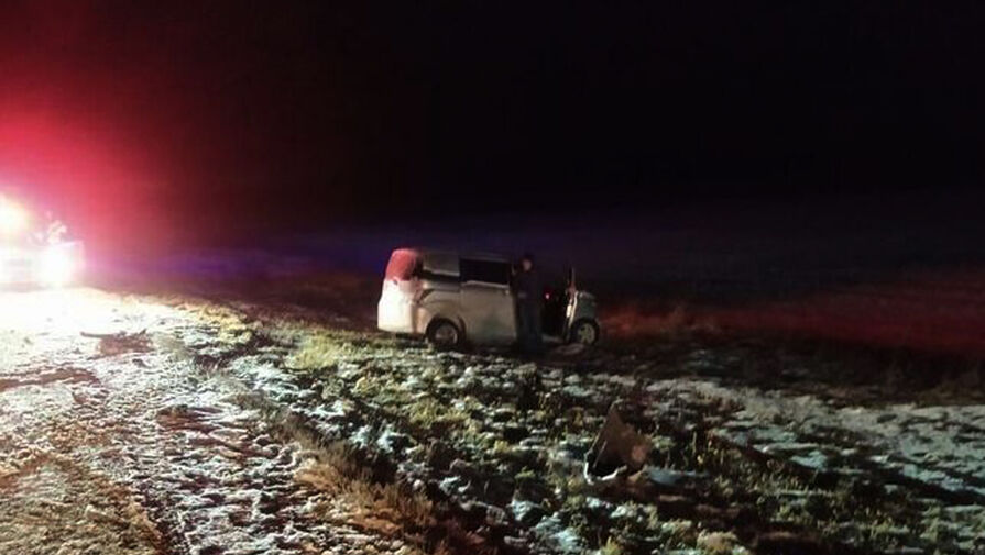 Увеличилось число жертв ДТП с микроавтобусом и грузовиком под Новосибирском