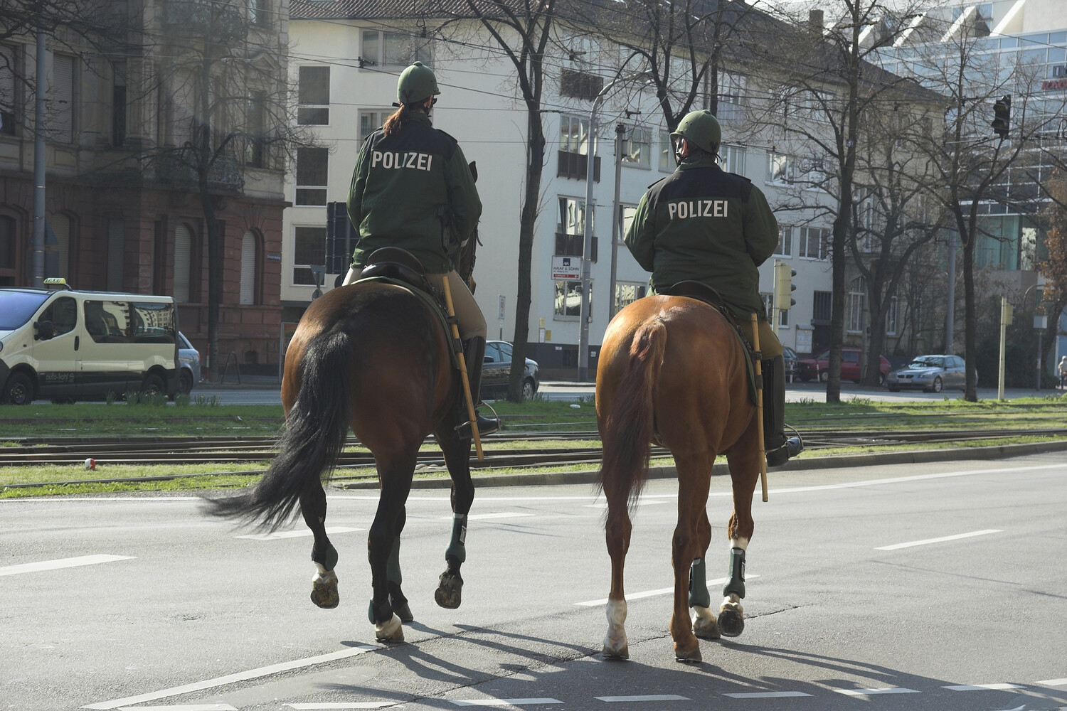 В Германии полицейских обвинили в издевательствах над служебными лошадьми -  Газета.Ru | Новости