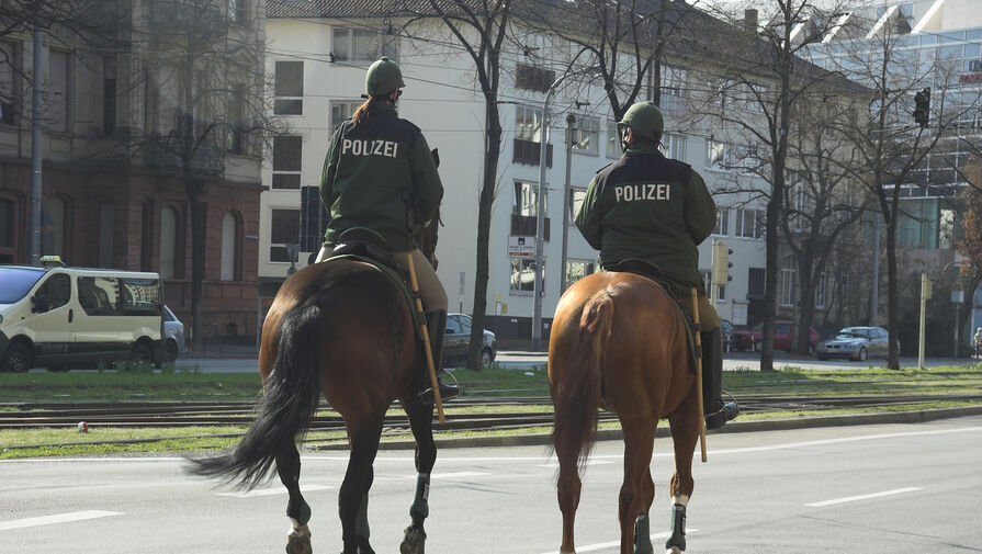 В Германии полицейских обвинили в издевательствах над служебными лошадьми