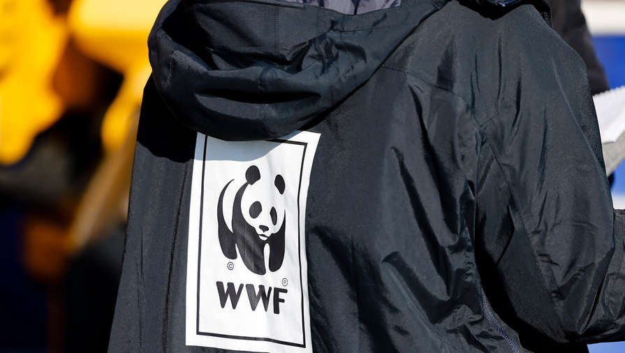 В WWF ответили на обвинения спецпредставителя президента РФ Сергея Иванова в подкупе журналистов