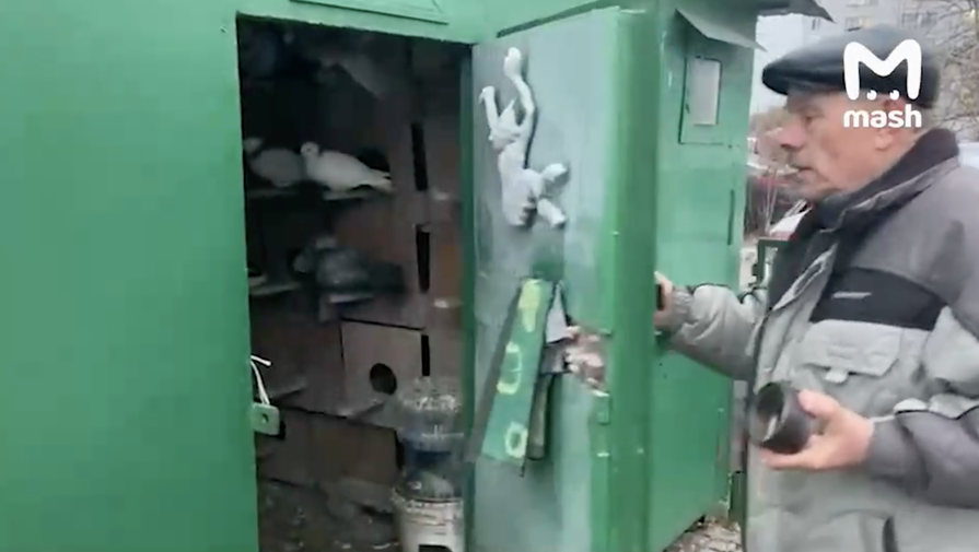 В Москве соседка украла у пенсионера 14 редких голубей