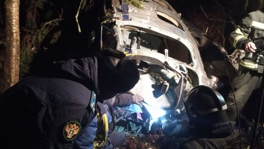 Авиапредприятие: у упавшего под Костромой Ми-2 не выявили отклонения перед вылетом