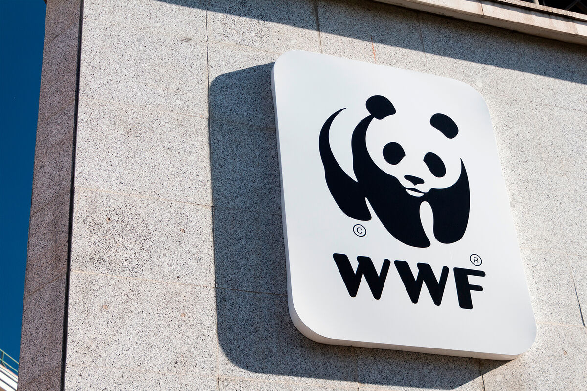 Российский Всемирный фонд природы прекратил отношения с WWF - Газета.Ru |  Новости