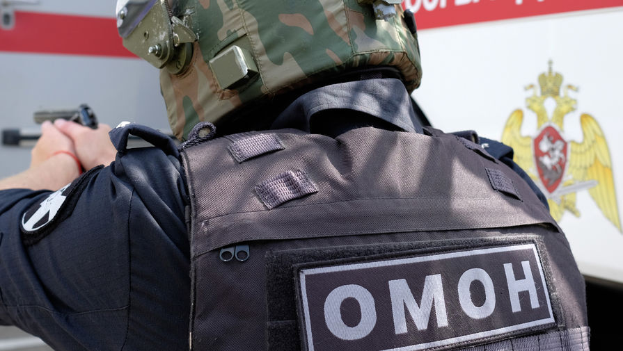Задержанному за драку с омоновцами в Москве предъявили обвинение