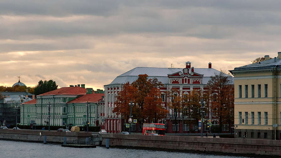 Вооруженные таксисты устроили драку на Васильевском острове Петербурга