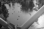 Вид на пруд с колеса обозрения в Центральном парке культуры и отдыха имени М. Горького, 1963 год