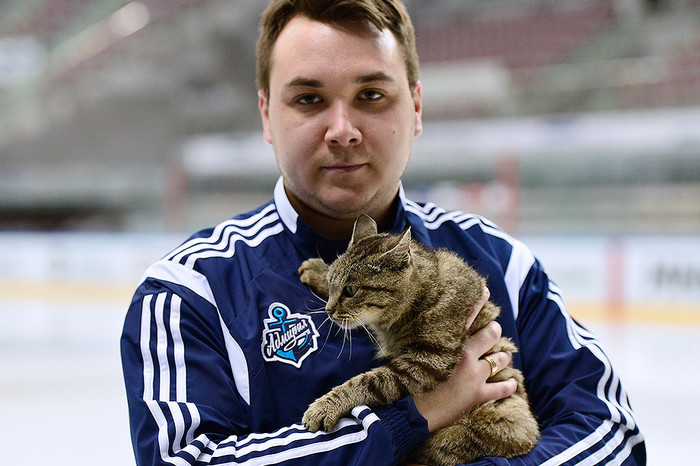 Сотрудник хоккейного клуба &laquo;Адмирал&raquo; Михаил Быков держит в&nbsp;руках кошку, ставшую талисманом хоккейного клуба &laquo;Адмирал&raquo;