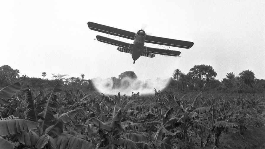 Советский самолет Ан-2 во время опыления банановых плантаций в&nbsp;Гвинейской Республике, 1962 год