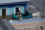 Местные жители плывут на надувной лодке через затопленный двор своего дома, чтобы покормить собак, застрявших на крыше, Оренбург, 12 апреля 2024 года