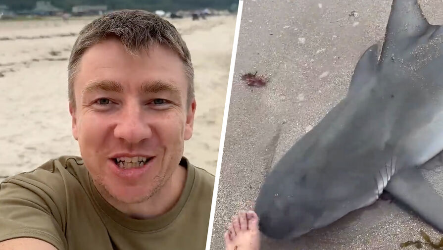 В Приморье мужчина нашел на пляже акулу, закинул ее в море и искупался 