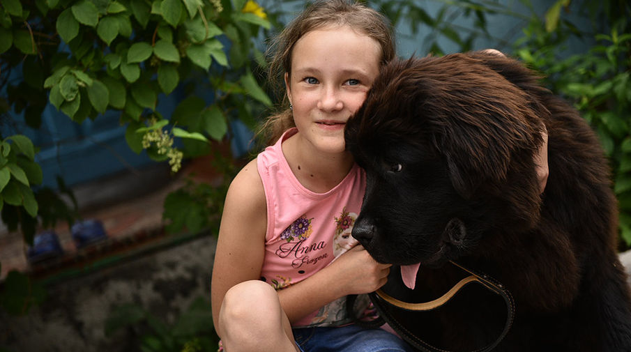 В&nbsp;июле 2015&nbsp;года Путин подарил щенка ньюфаундленда школьнице из&nbsp;Киргизии Даше Яицкой