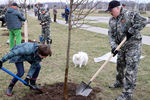 Президент Белоруссии Александр Лукашенко во время посадки деревьев в рамках республиканского субботника в агрогородке Александрия Шкловского района, 17 апреля 2021 года