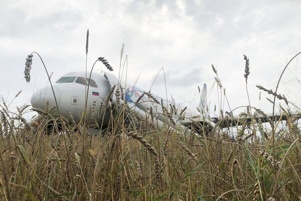 На&nbsp;месте аварийной посадки самолета А320 авиакомпании «Уральские авиалинии» в&nbsp;Новосибирской области, 12&nbsp;сентября 2023&nbsp;года