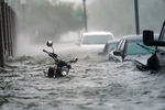 Последствия урагана «Салли» во Флориде, США, 16 сентября 2020 года