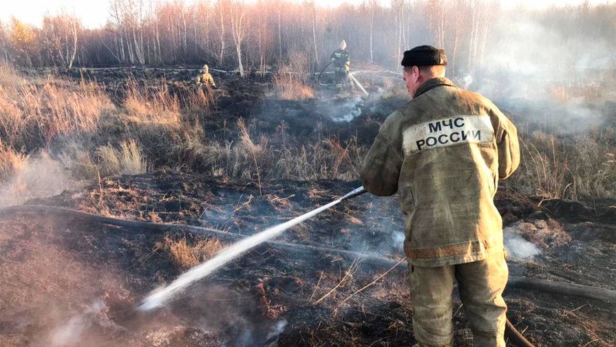 Торфяники в России защитят от пожаров. РУСАЛ открывает новый фронт борьбы с парниковыми газами