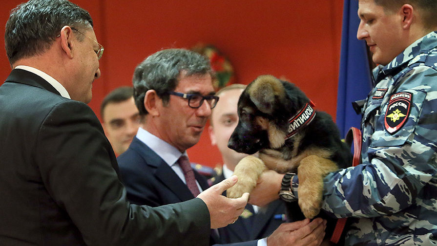 Передача щенка Добрыни французской полиции в&nbsp;посольстве Франции
