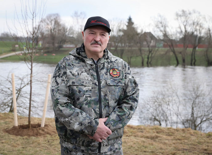 Президент Белоруссии Александр Лукашенко во время посадки деревьев в рамках республиканского субботника в агрогородке Александрия Шкловского района, 17 апреля 2021 года