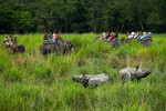 Туристы наблюдают за парой однорогих носорогов в заповеднике дикой природы Побитора, Индия, 11 октября 2022 года