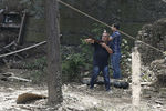 Вооруженные горожане охотятся на тигра в центре Тбилиси