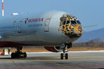 Самолет авиакомпании «Россия» с изображением на носовой части дальневосточного леопарда в аэропорту Владивостока