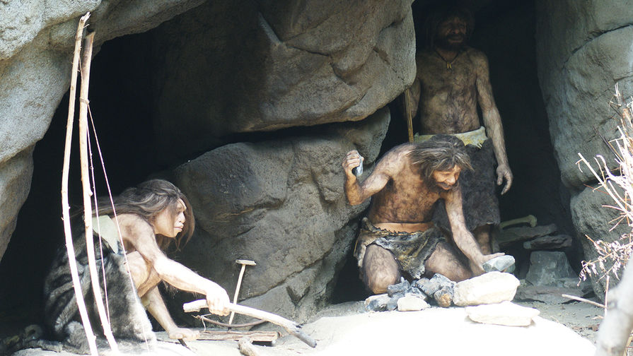 Ученые выяснили, как вымерли неандертальцы - Газета.Ru